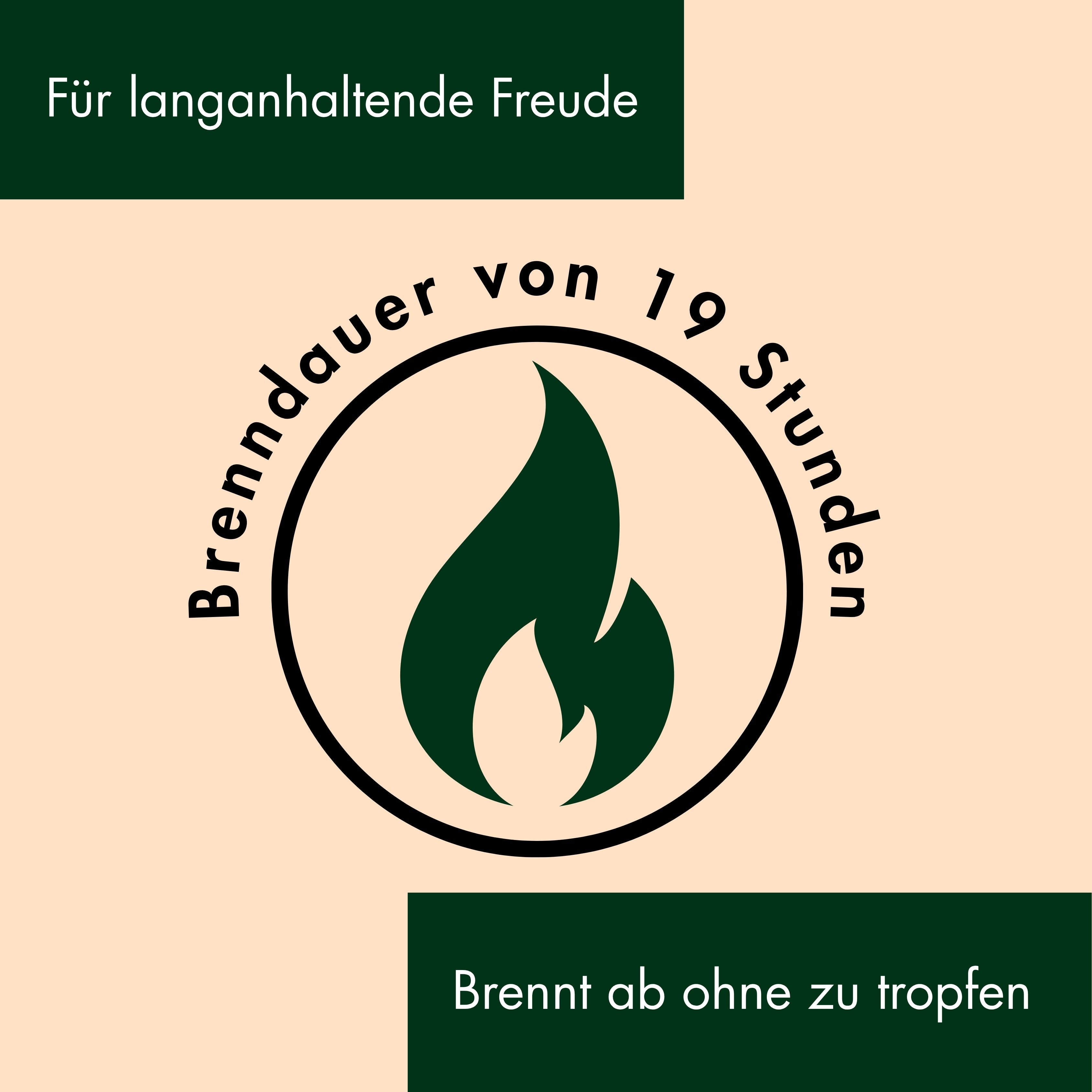 Bienenwachskerzen- Stumpenkerzen 9,5/4,5cm 4er Set - figurasanta.de