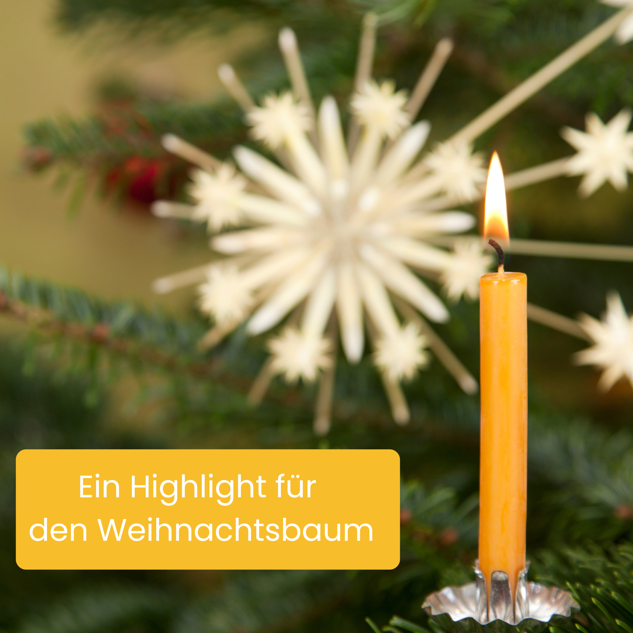 Christbaumkerzen Bienenwachs