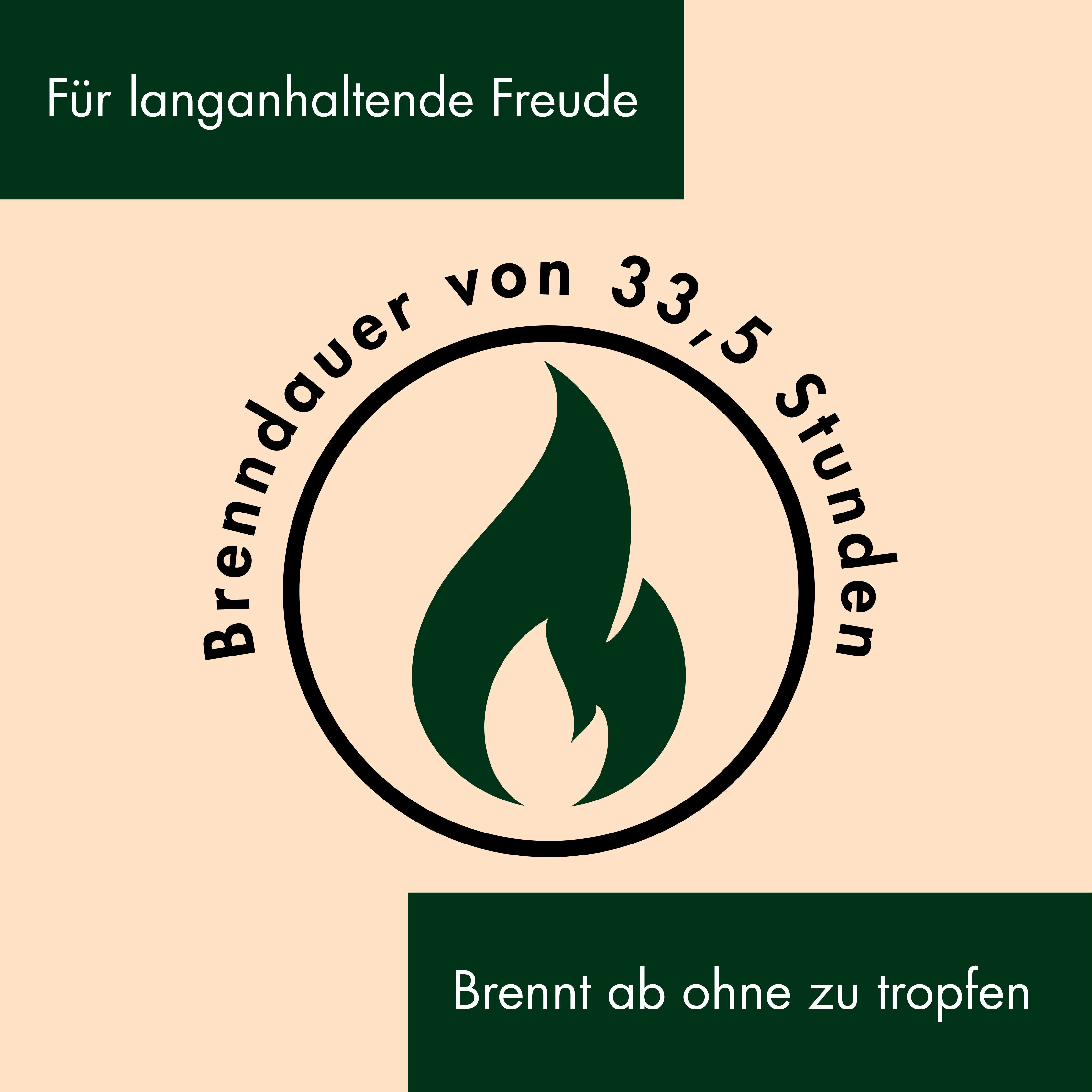 Bienenwachskerzen- Wabenkerzen 18/5cm 2er Set - figurasanta.de